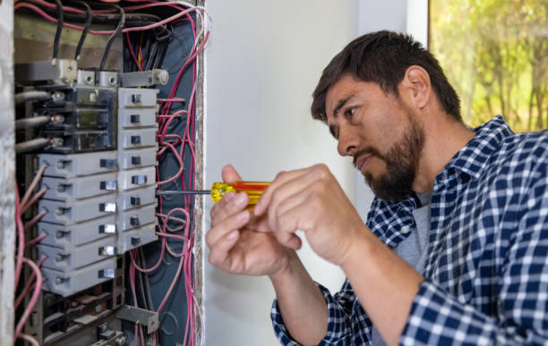 Best Electric Panel Repair  in Mickleton, NJ